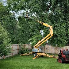 Best Tree Preservation Services  in Seven Hills, OH