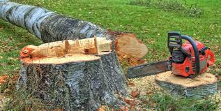 Best Utility Line Clearance  in Seven Hills, OH
