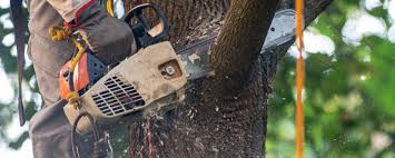 Best Lawn Irrigation Installation and Maintenance  in Seven Hills, OH