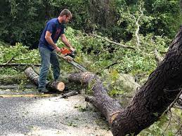 Best Lawn Grading and Leveling  in Seven Hills, OH
