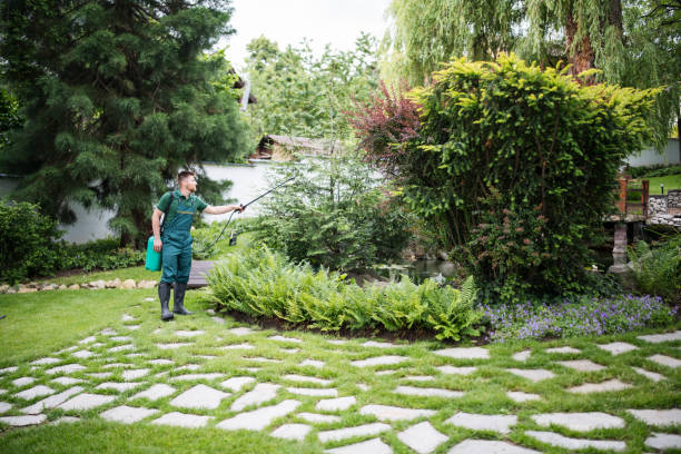 Best Lawn Mowing  in Seven Hills, OH